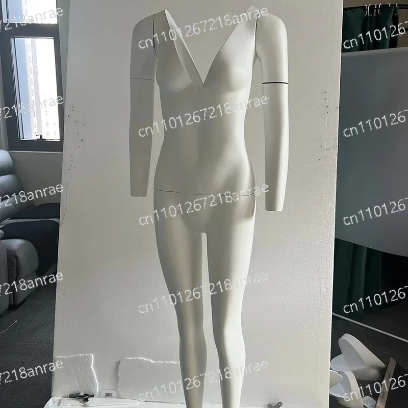 Female Clothing Photo Props Luxury 3D Hollow Mannequins Full Body Women's Clothing Model Display Stand Creative Detachable Dummy
Female Clothing Photo Props Luxury 3D Hollow Mannequins Full Body Women's Clothing Model Display Stand Creative Detachable Dummy