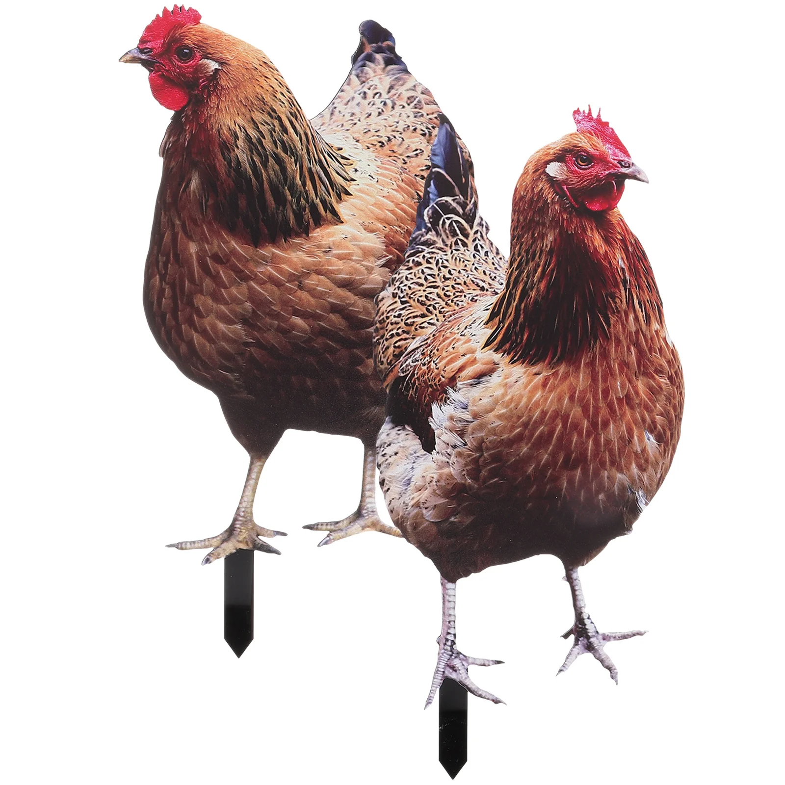 2 Pcs Chicken Garden Decoration Outdoor Adornment Christmas Lawn Ornament Yards Decorative Accessory Sign
2 Pcs Chicken Garden Decoration Outdoor Adornment Christmas Lawn Ornament Yards Decorative Accessory Sign