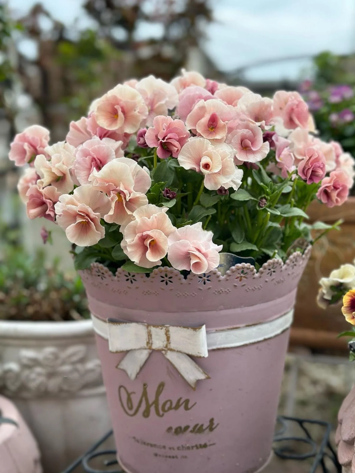 Rustic Iron Art Flower Pot with Hollow out Knot Design Iron Buet een Plant Flower Arrangement Decorative Planter
Rustic Iron Art Flower Pot with Hollow out Knot Design Iron Buet een Plant Flower Arrangement Decorative Planter
