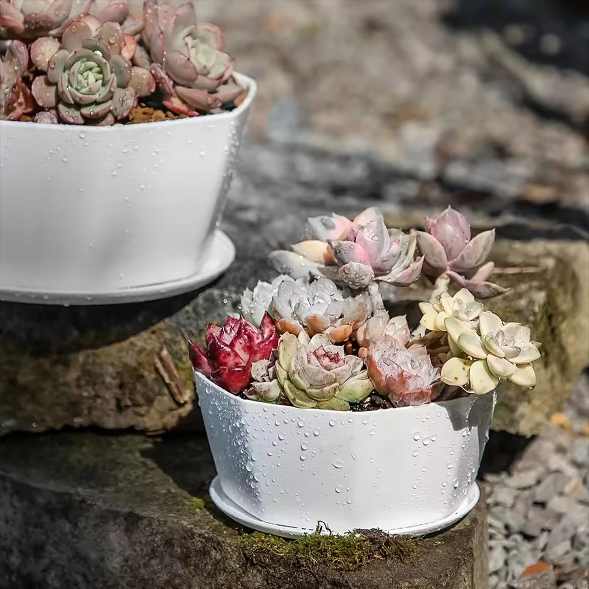 1 шт., простой набор цветочных горшков, кашпо для суккулентов, большой открывающийся нижний поднос, домашний цветочный горшок, бытовой прочный держатель 
1 шт., простой набор цветочных горшков, кашпо для суккулентов, большой открывающийся нижний поднос, домашний цветочный горшок, бытовой прочный держатель