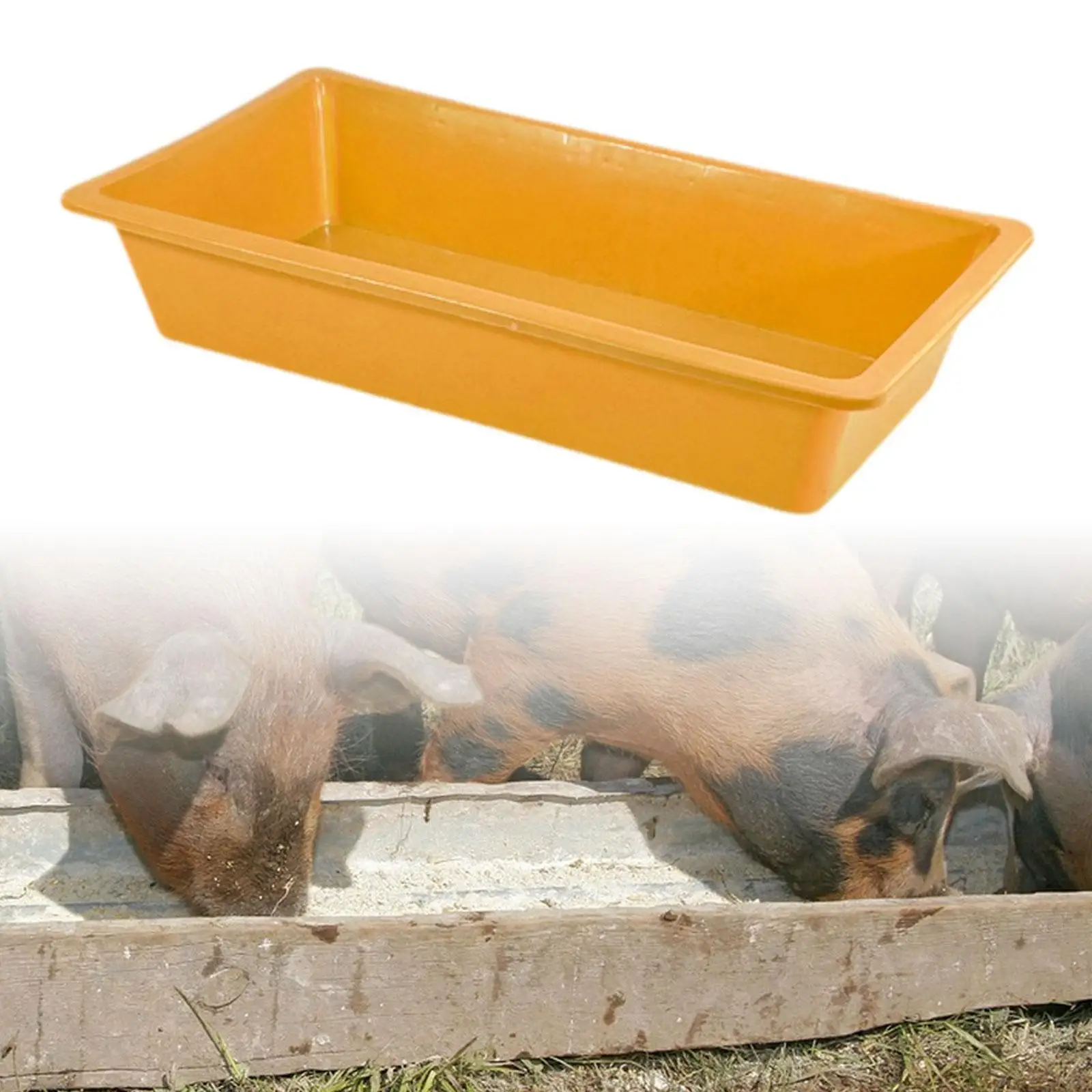 Livestock Feed Trough Plastic Heavy Duty Storage Bin Versatile Feeder Box for Farm Animals Classroom
Livestock Feed Trough Plastic Heavy Duty Storage Bin Versatile Feeder Box for Farm Animals Classroom