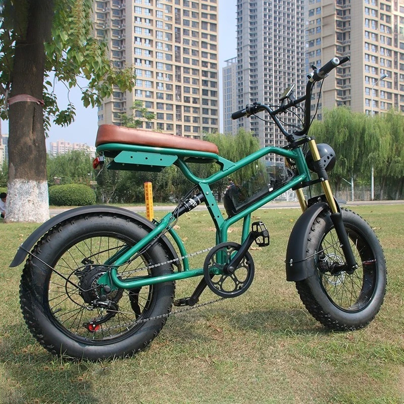 Vintage 20 Inch Rough Wheel Bike Off-Road Assisted Mountain Bike
Vintage 20 Inch Rough Wheel Bike Off-Road Assisted Mountain Bike