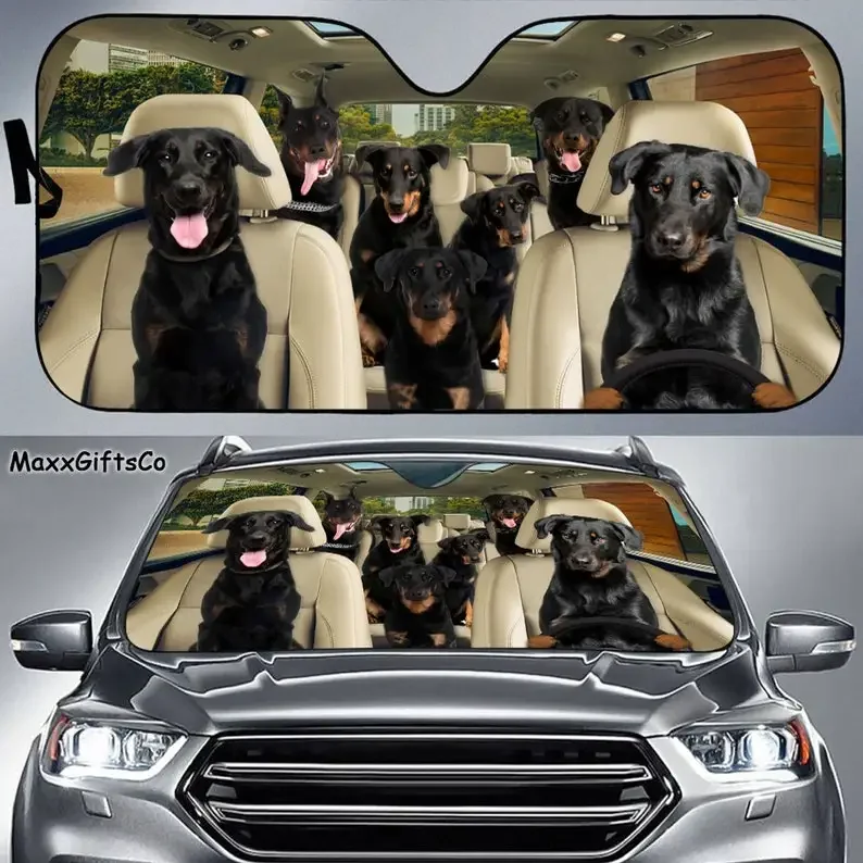 Автомобильный солнцезащитный козырек Beauceron, семейный солнцезащитный козырек Beauceron, аксессуары для собак, подарок для любителей собак, украшение автомобиля
Автомобильный солнцезащитный козырек Beauceron, семейный солнцезащитный козырек Beauceron, аксессуары для собак, подарок для любителей собак, украшение автомобиля