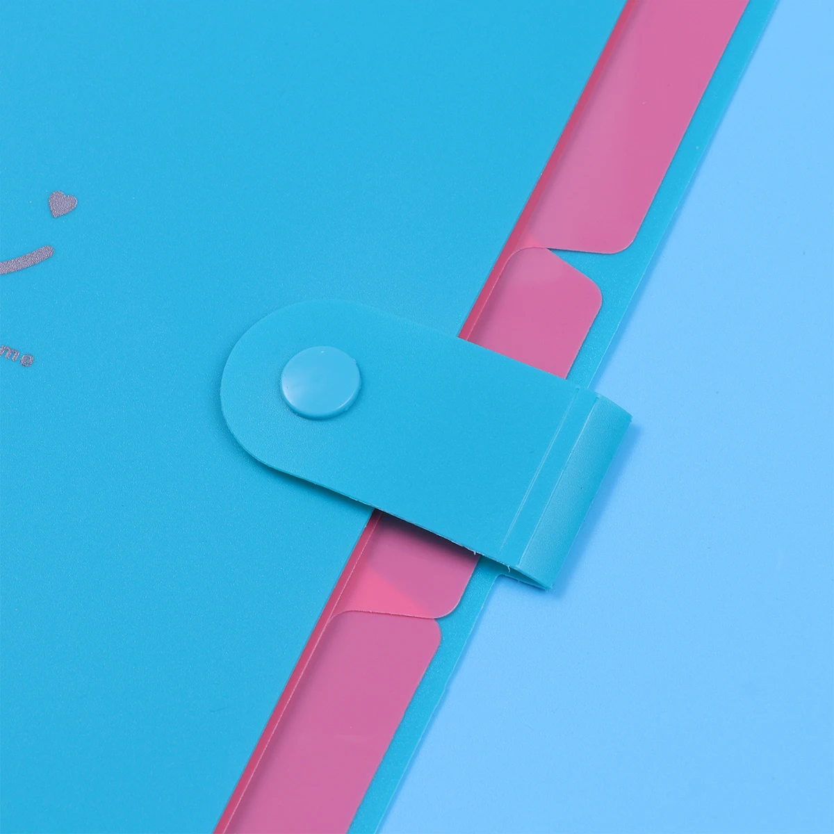 Folder File Bag Decorative Folders Accordion Binder Plastic School Supplies Organizer Pocket with Pockets
Folder File Bag Decorative Folders Accordion Binder Plastic School Supplies Organizer Pocket with Pockets