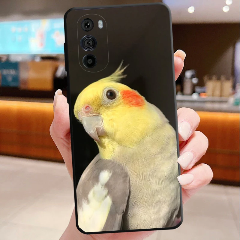 Phone Case For Motorola Edge 50 40 Pro 60 50 40 30 Ultra Neo Fusion Moto G Play G Stylus G Power G Cockatiel bird
Phone Case For Motorola Edge 50 40 Pro 60 50 40 30 Ultra Neo Fusion Moto G Play G Stylus G Power G Cockatiel bird