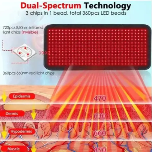Waist Red Light Heated Massage Belt LED Infrared Light Therapy Belt for Lumbar Back Massage for Full Body Pain Relief
Waist Red Light Heated Massage Belt LED Infrared Light Therapy Belt for Lumbar Back Massage for Full Body Pain Relief