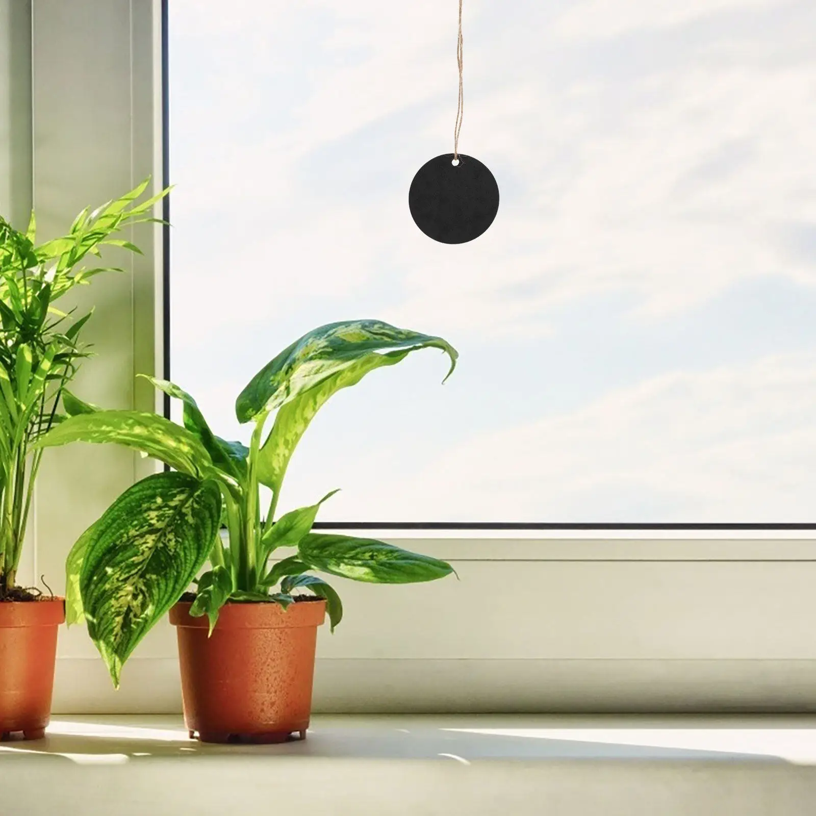 10Pcs Oval Blackboard Mini Hanging Chalkboard Set for DIY Decoration Wedding Party Favors Labeling Reminders Small Message Board
10Pcs Oval Blackboard Mini Hanging Chalkboard Set for DIY Decoration Wedding Party Favors Labeling Reminders Small Message Board