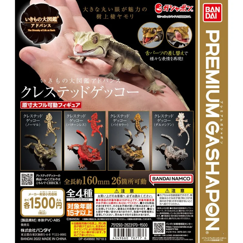 Bandai Genuine Gashapon The Diversity of Life on Earth クレステッドゲッコー Toys For Kids Gift Collectible Model Ornaments
Bandai Genuine Gashapon The Diversity of Life on Earth クレステッドゲッコー Toys For Kids Gift Collectible Model Ornaments