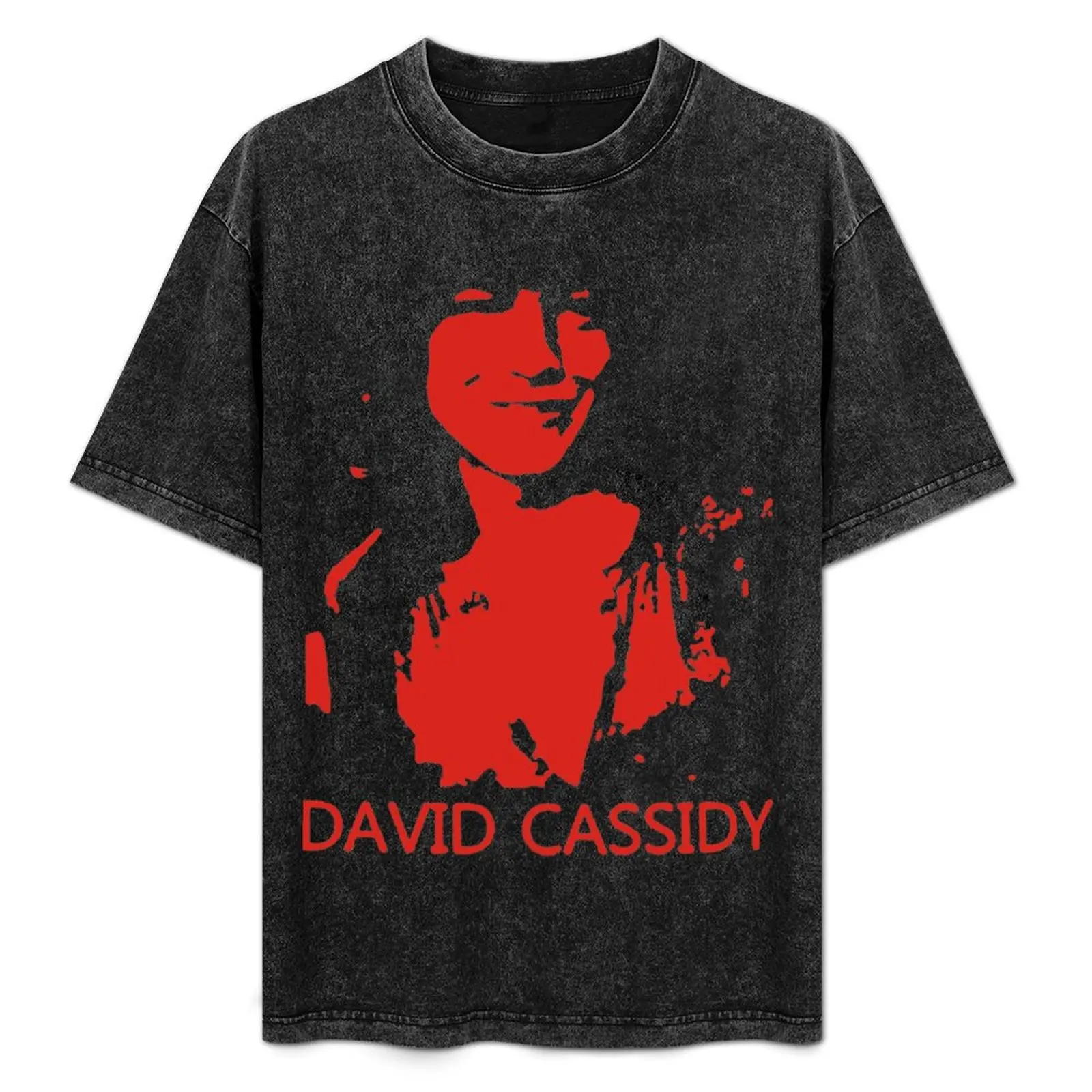 DAVID CASSIDY T-Shirt Anti-Fade Casual Tee Shirt
DAVID CASSIDY T-Shirt Anti-Fade Casual Tee Shirt