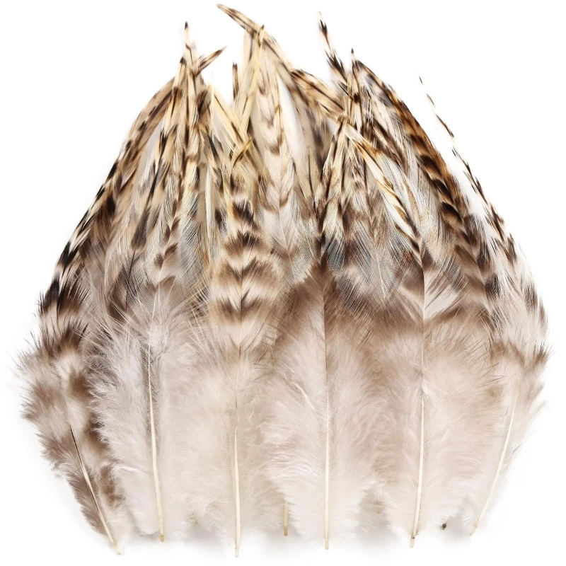 4-6inch Saddle Hackle Rooster Feathers Bulk for Crafts Wedding Party Home Decoration
4-6inch Saddle Hackle Rooster Feathers Bulk for Crafts Wedding Party Home Decoration