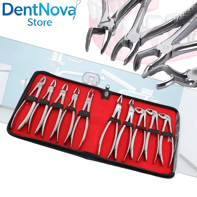 Dental Extraction Forceps Adult Tooth Forceps Kit Dentist Surgical Tools Oral Surgery Instrument Set
Dental Extraction Forceps Adult Tooth Forceps Kit Dentist Surgical Tools Oral Surgery Instrument Set