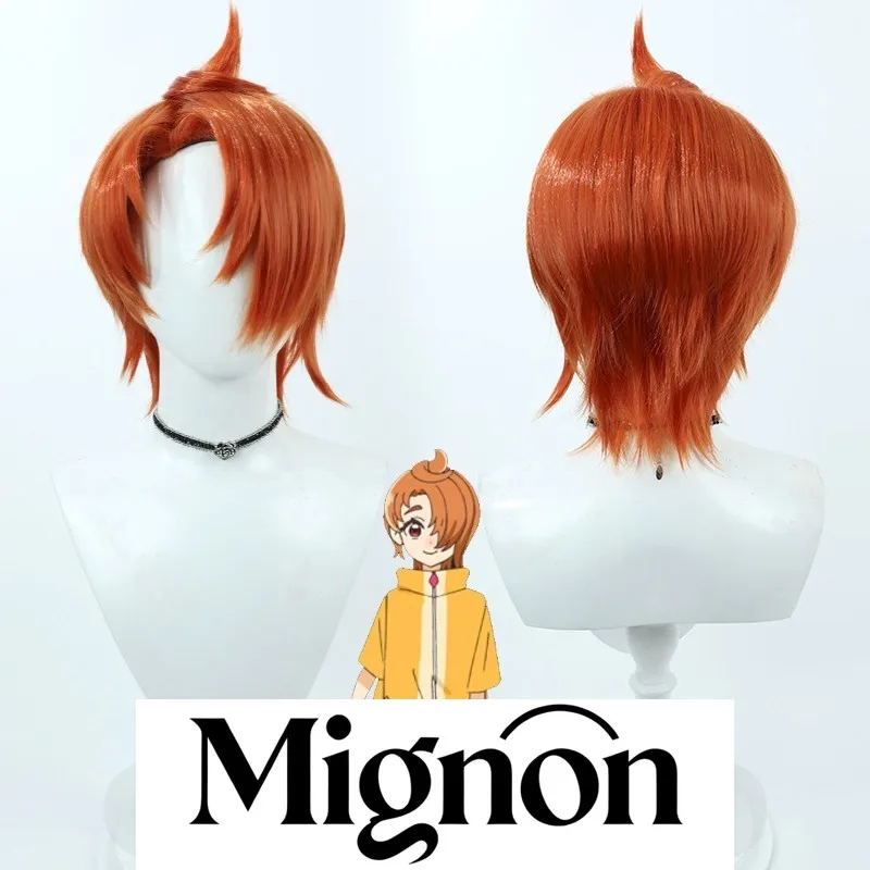 Soaring Sky! Pretty Cure Cure Wing cosplay wig orange red spiky hair Halloween gift
Soaring Sky! Pretty Cure Cure Wing cosplay wig orange red spiky hair Halloween gift