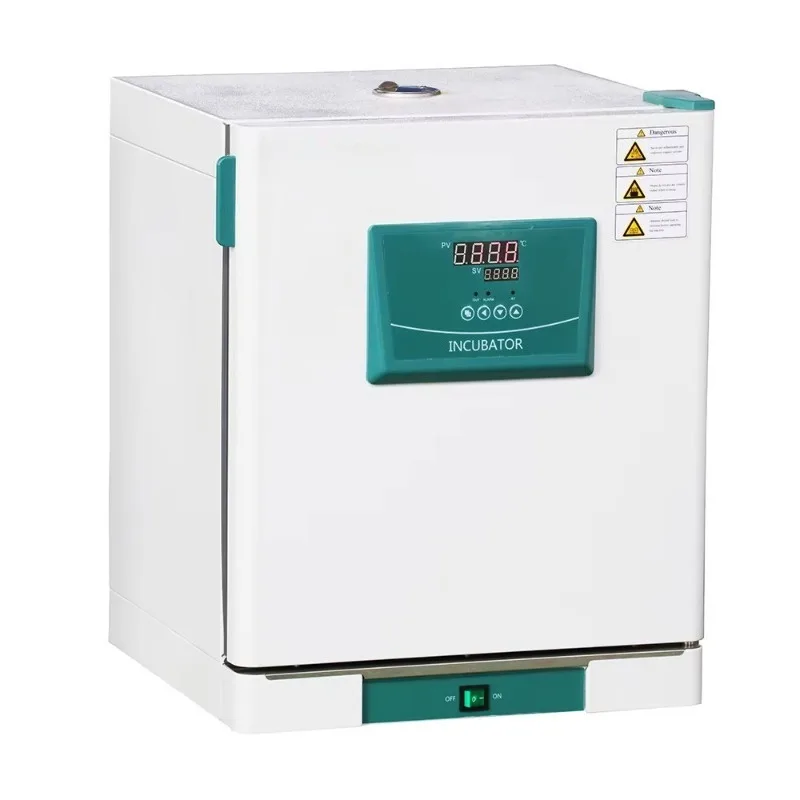 Electric Thermostatic Incubator Laboratory Economical Incubator
Electric Thermostatic Incubator Laboratory Economical Incubator