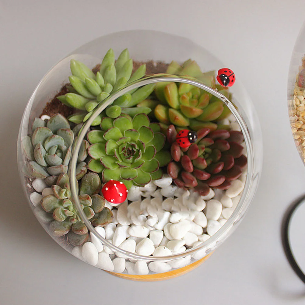 2Pcs Durable Glass Micro Landscape Containers Sturdy Decorative Vase Suitable for Various Occasions Transparent Succulent Pot
2Pcs Durable Glass Micro Landscape Containers Sturdy Decorative Vase Suitable for Various Occasions Transparent Succulent Pot