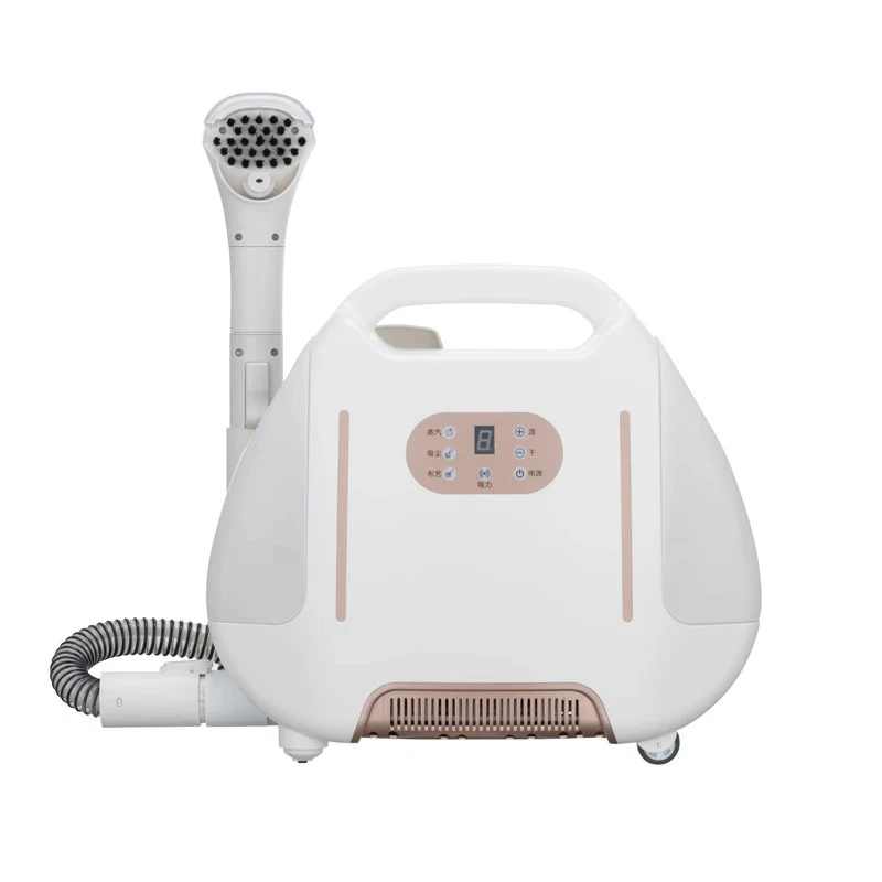 Handheld Electric Steam Cleaner Vacuum High Temperature Sterilization Carpet Sofa Mattress Kitchen Hood Dry Cleaning Machine
Handheld Electric Steam Cleaner Vacuum High Temperature Sterilization Carpet Sofa Mattress Kitchen Hood Dry Cleaning Machine