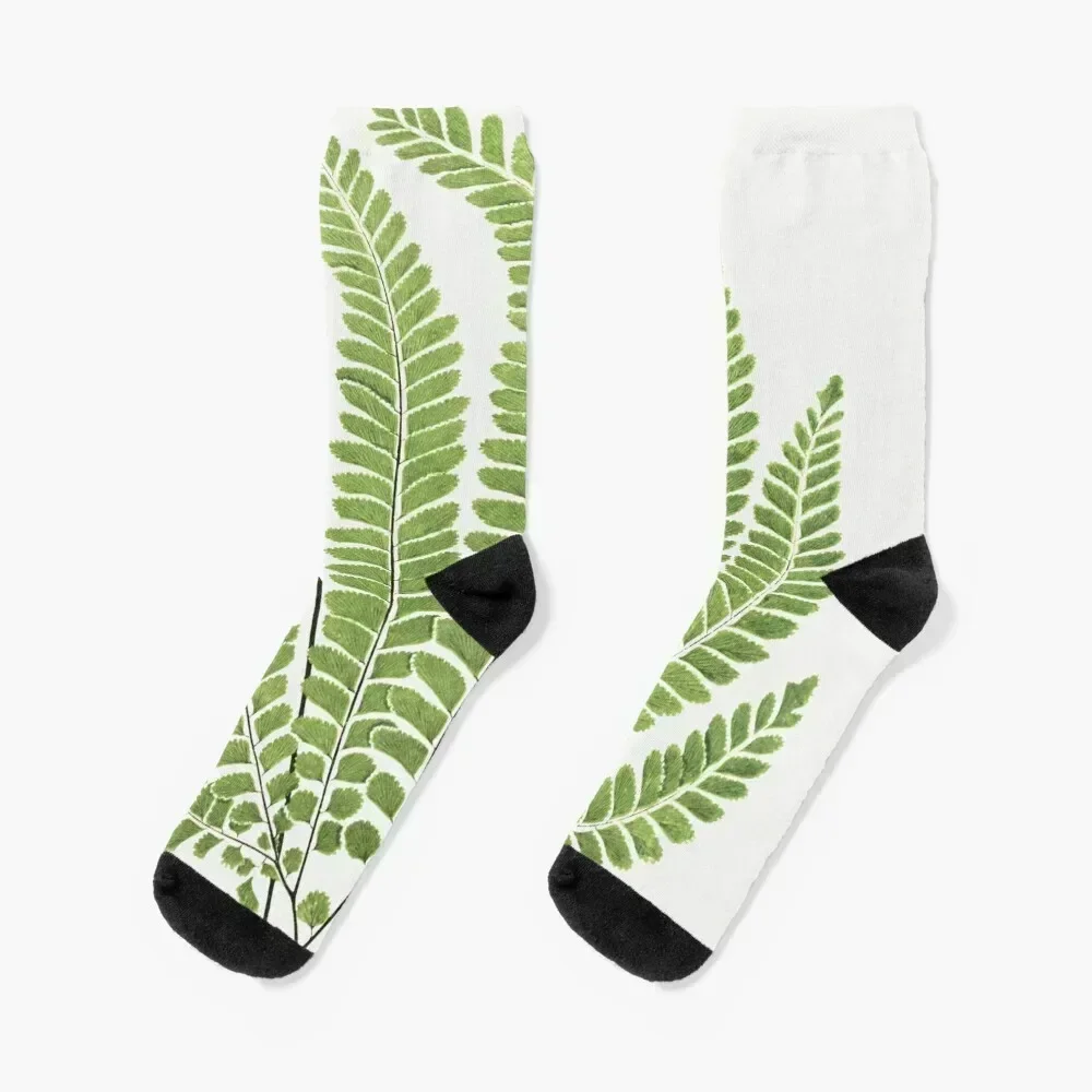 Fantastic Fern Fronds Socks cartoon floor Men's Boy Child Socks Women's
Fantastic Fern Fronds Socks cartoon floor Men's Boy Child Socks Women's