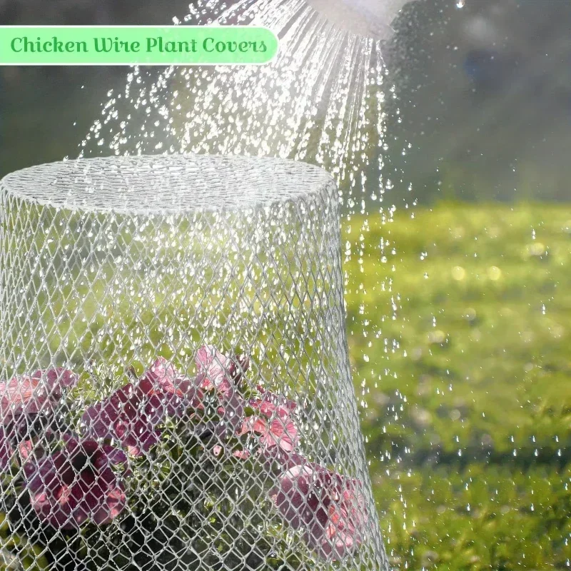 2026Latest Models Metal Wire Plant Protector Cover, Garden Mesh Cage for Protecting Plants Vegetables from Animals & Birds
2026Latest Models Metal Wire Plant Protector Cover, Garden Mesh Cage for Protecting Plants Vegetables from Animals & Birds