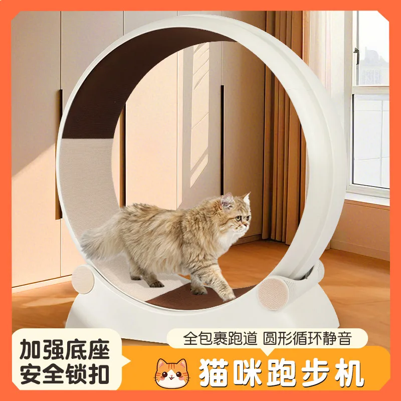 Cat Treadmill Roller Silent Environmentally Friendly Plastic Pet Treadmill Cat and Dog Sports Fitness Anti-pinch Wide Track
Cat Treadmill Roller Silent Environmentally Friendly Plastic Pet Treadmill Cat and Dog Sports Fitness Anti-pinch Wide Track