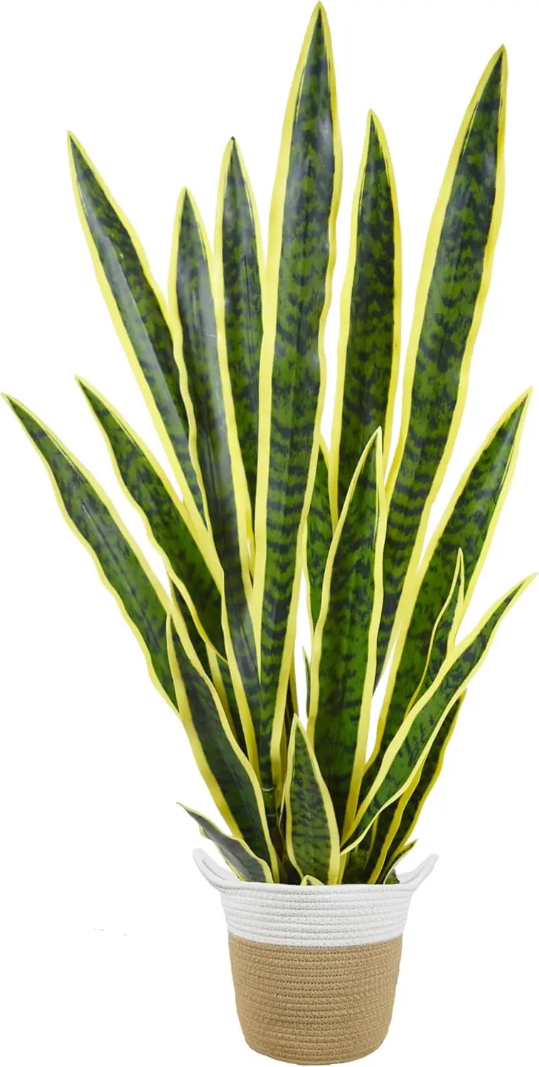 Artificial Snake Plant 3ft Fake Sansevieria with Basket, 35in Faux Potted Greenery for Home Office Store Decoration
Artificial Snake Plant 3ft Fake Sansevieria with Basket, 35in Faux Potted Greenery for Home Office Store Decoration