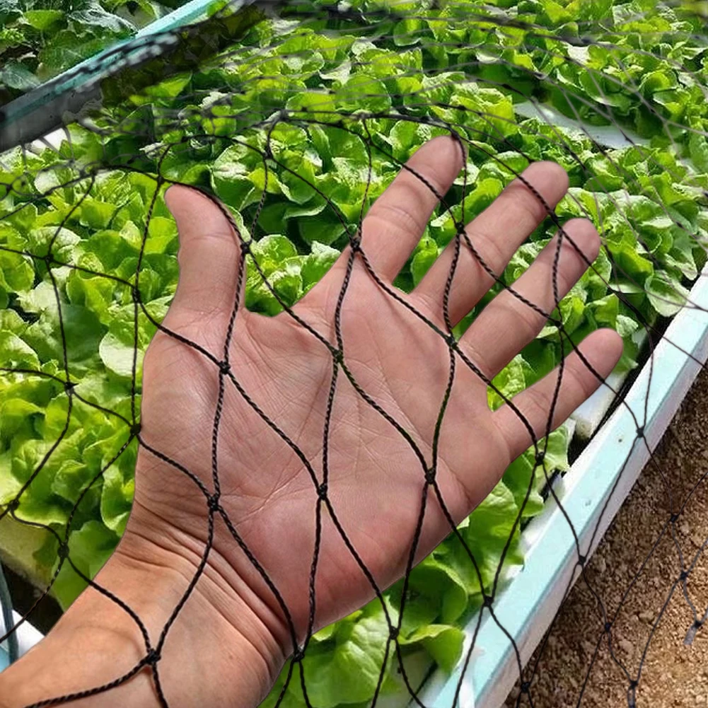 Nylon Bird Netting Mesh Hawk Netting Protective Chicken Coop Netting 25 X 50 FT Fruit Tree Netting for Vegetables Poultry
Nylon Bird Netting Mesh Hawk Netting Protective Chicken Coop Netting 25 X 50 FT Fruit Tree Netting for Vegetables Poultry