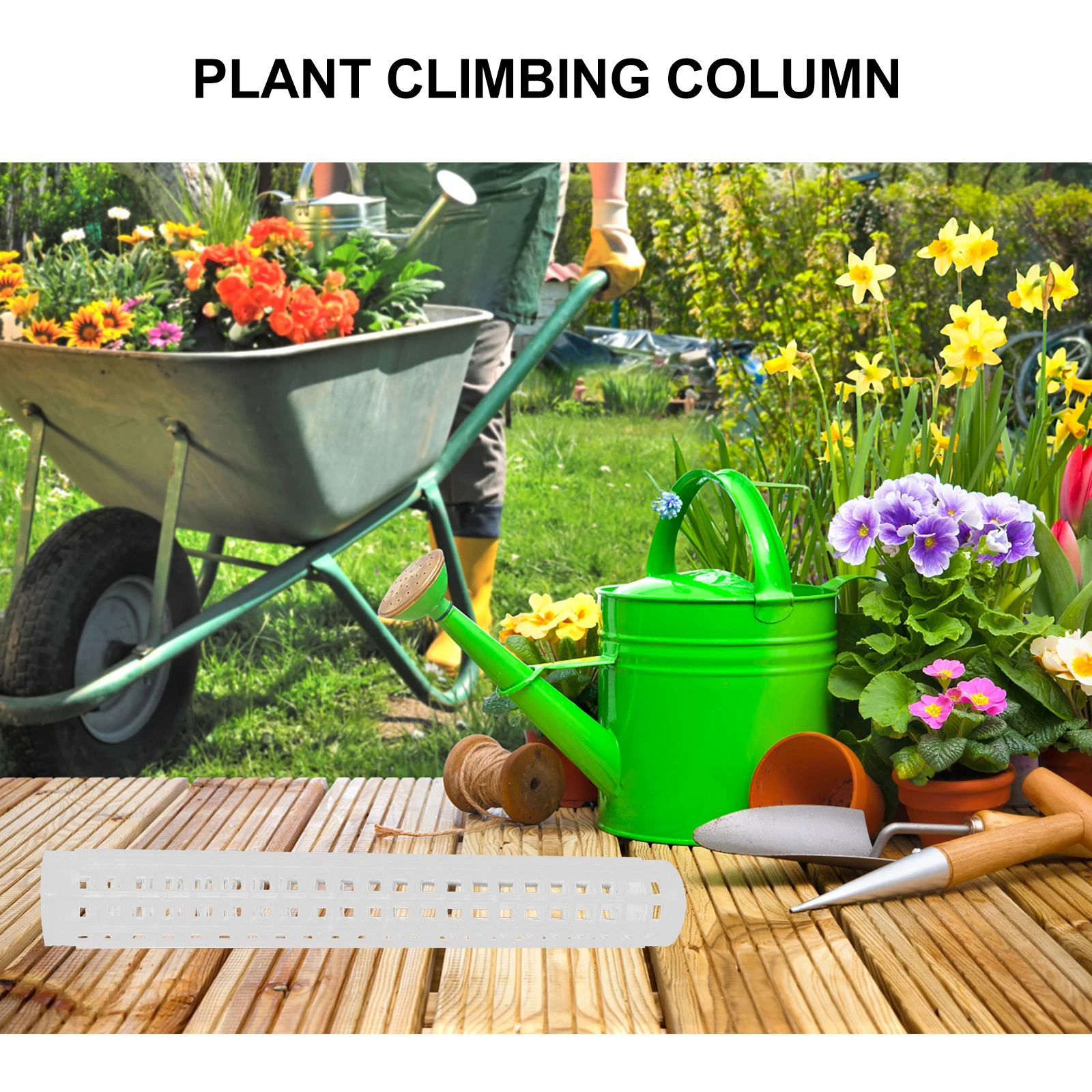 6Pcs Plant Climbing Column Durable Plastic Vine Support Pillars Indoor Outdoor Garden Climbing Plants Flower Support Water Moss
6Pcs Plant Climbing Column Durable Plastic Vine Support Pillars Indoor Outdoor Garden Climbing Plants Flower Support Water Moss
