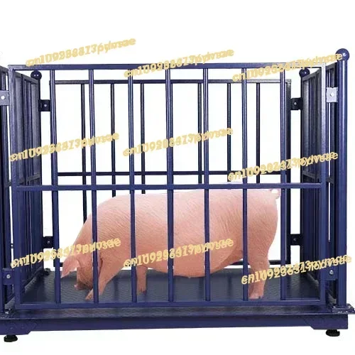 NEW LCD/LED Display Type And High Accuracy Weighing Scale for Animals or Cattle or Sheep In Farm Usage
NEW LCD/LED Display Type And High Accuracy Weighing Scale for Animals or Cattle or Sheep In Farm Usage