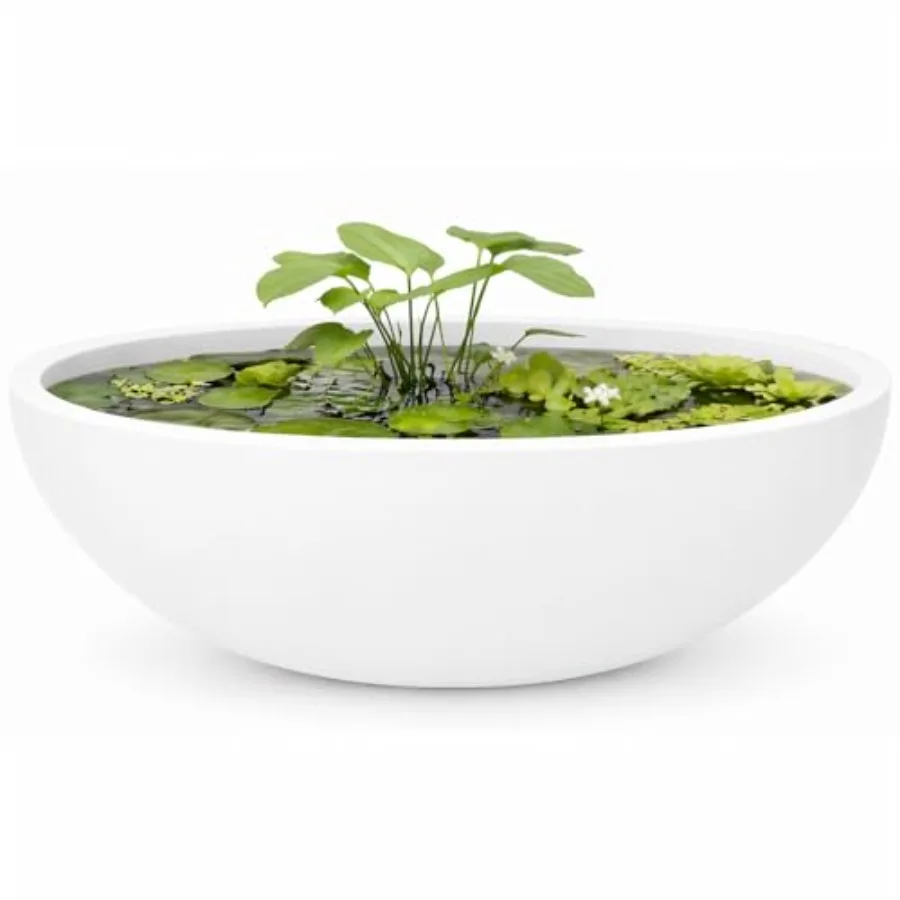 Premium Rondo Round Bowl Fiberstone Planter for Succulent and Lotus with Drainage Hole, Smooth Finishes, Weather Resistant, Inc
Premium Rondo Round Bowl Fiberstone Planter for Succulent and Lotus with Drainage Hole, Smooth Finishes, Weather Resistant, Inc