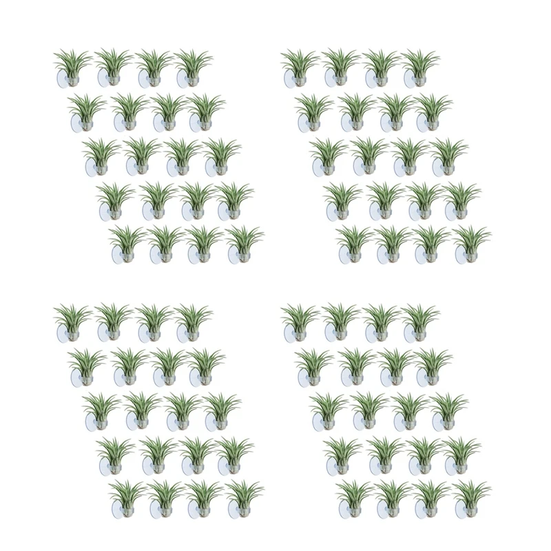 80 Pcs Air Plant Holder, Plant Pot Tillandsia Holder Air Plant Hanger With Suction Cup For Hanging (Plants Not Included)
80 Pcs Air Plant Holder, Plant Pot Tillandsia Holder Air Plant Hanger With Suction Cup For Hanging (Plants Not Included)