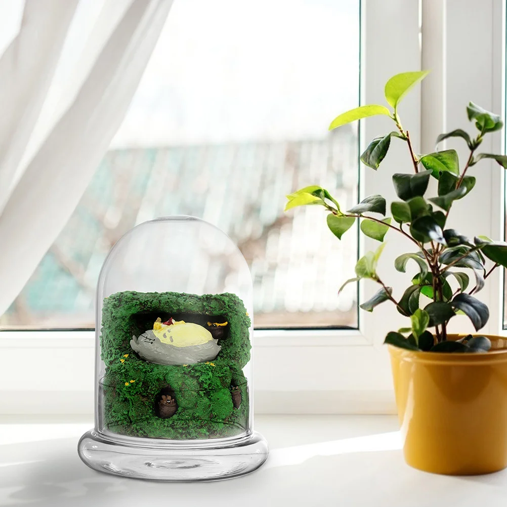 Moss Eco Bottle Plants Decorative Vase Storage Planter Terrarium Glass Ecological Child Landscape Container
Moss Eco Bottle Plants Decorative Vase Storage Planter Terrarium Glass Ecological Child Landscape Container
