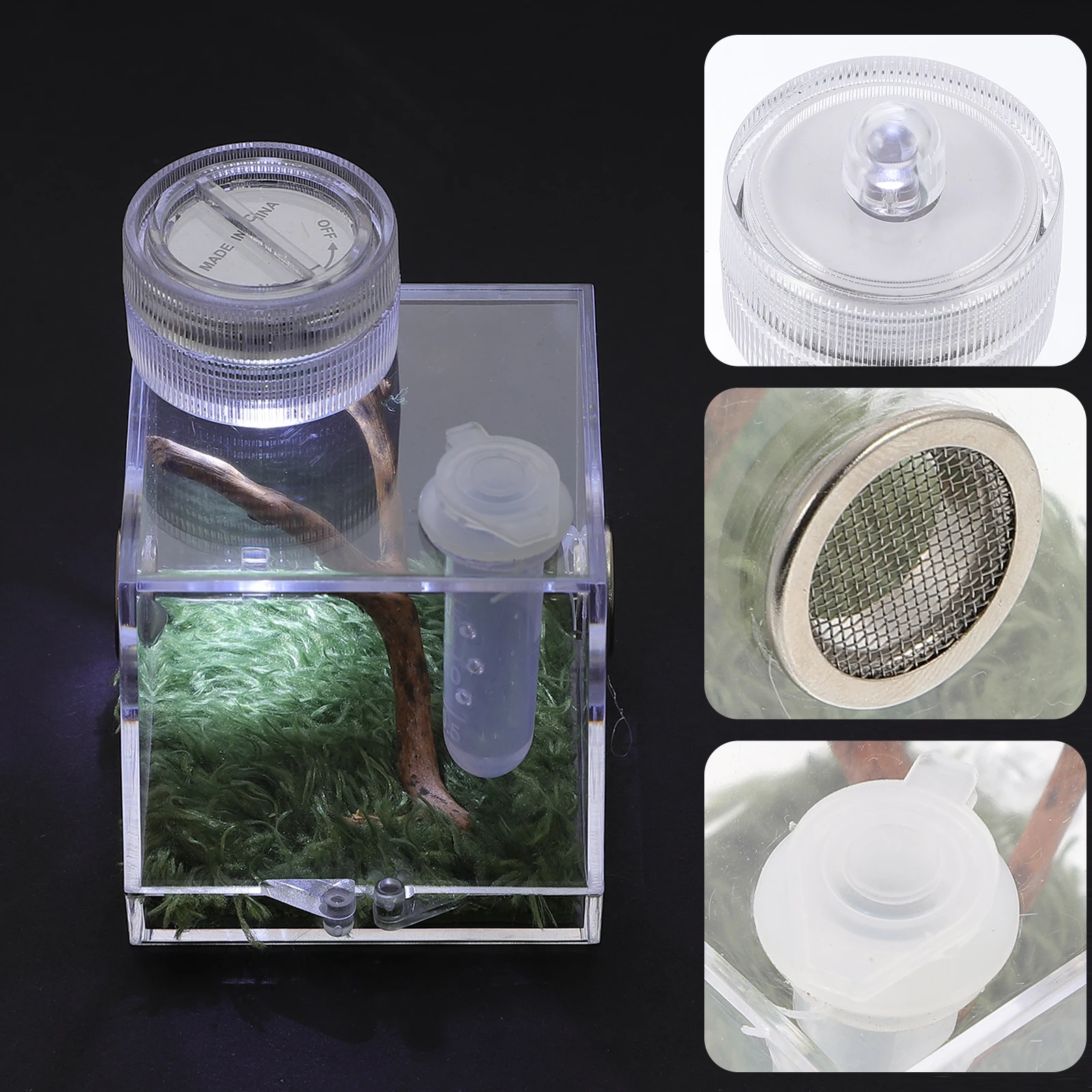 High Quality Spider Habitat Box Transparent Jumping Spider Cage Storage Case Size M Easy Clean Prevent Loss Box
High Quality Spider Habitat Box Transparent Jumping Spider Cage Storage Case Size M Easy Clean Prevent Loss Box
