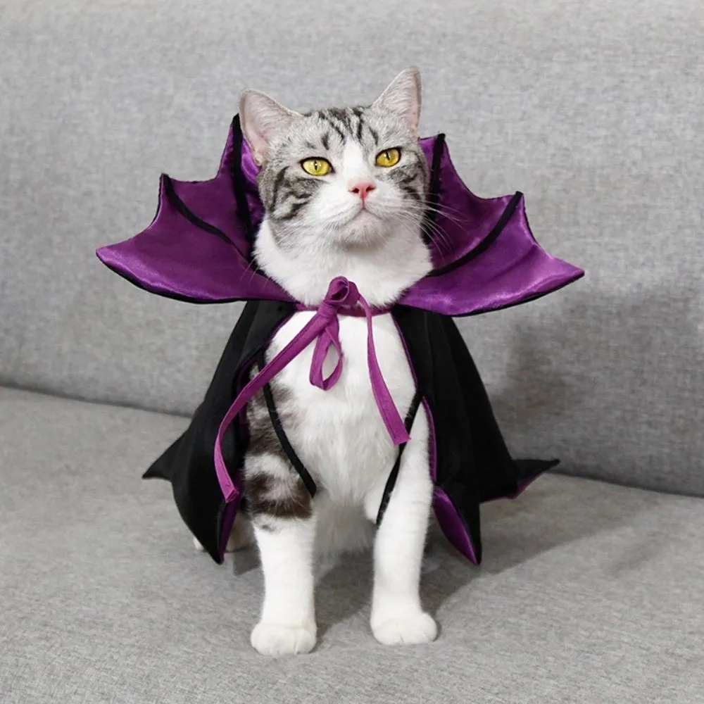Cool Bat Transformation Halloween Pet Costume Stand-collar Comfortable Cat Cosplay Cloak Bow Easy To Wear Kitten Dress Party
Cool Bat Transformation Halloween Pet Costume Stand-collar Comfortable Cat Cosplay Cloak Bow Easy To Wear Kitten Dress Party