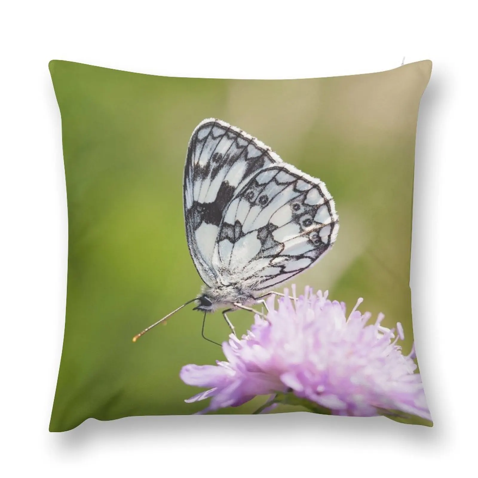 Butterfly marbled white, side view Throw Pillow sleeping pillows Sofa Decorative Covers autumn pillowcase pillow
Butterfly marbled white, side view Throw Pillow sleeping pillows Sofa Decorative Covers autumn pillowcase pillow