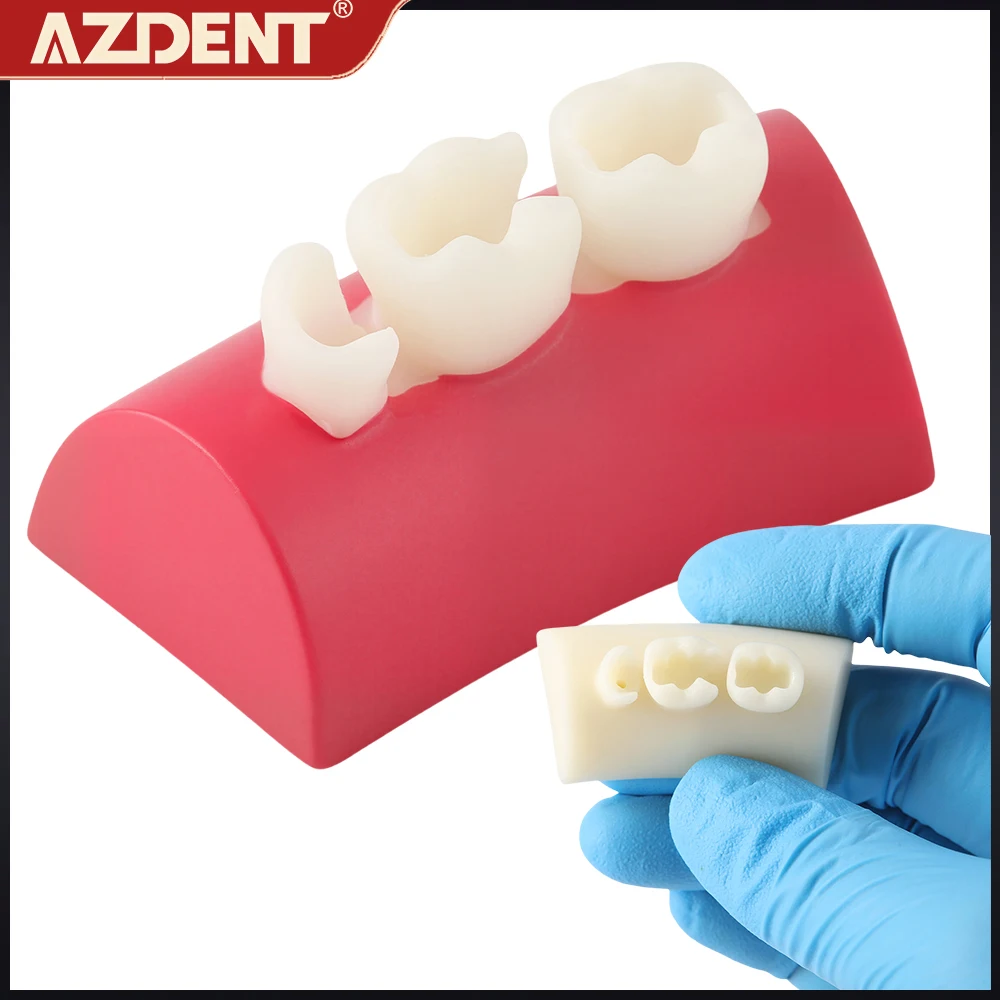 AZDENT Стоматологическая инкрустация Блок упражнений Композитная смола Наполнение зубов Практическая модель Тренажер для приготовления корневых каналов Typodont Учебные зубы
AZDENT Стоматологическая инкрустация Блок упражнений Композитная смола Наполнение зубов Практическая модель Тренажер для приготовления корневых каналов Typodont Учебные зубы
