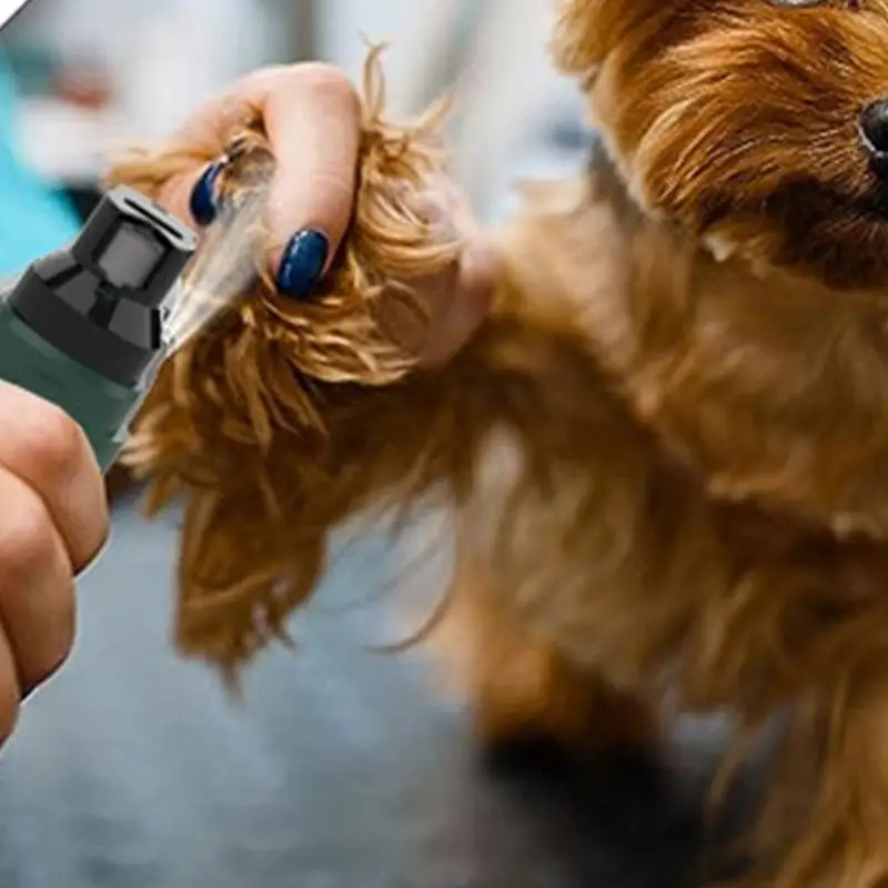 Nail Grinder For Dogs Quiet Adjustable Safe Precise Electric Nail Trimmer With LED Light Cat Claw Care Portable Pet Grooming
Nail Grinder For Dogs Quiet Adjustable Safe Precise Electric Nail Trimmer With LED Light Cat Claw Care Portable Pet Grooming