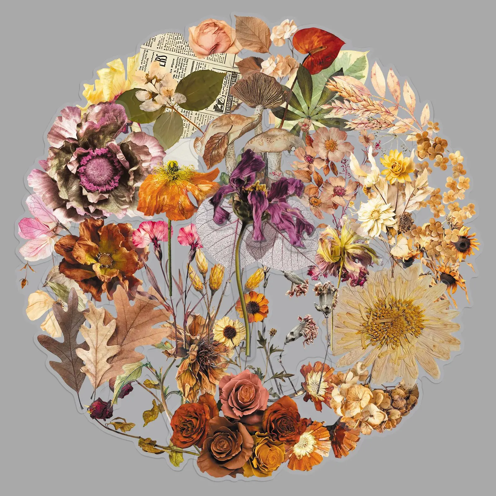 50Pcs Vintage Dried Flower Sticker Aesthetic Floral Decals Scrapbook Stickers for Journaling Phone Case Gifts for Craft Decor
50Pcs Vintage Dried Flower Sticker Aesthetic Floral Decals Scrapbook Stickers for Journaling Phone Case Gifts for Craft Decor