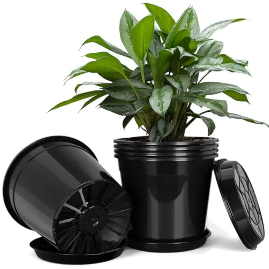 5 Gallon Plastic Pots with Drip Trays, Sturdy Gallon Plant Pots with Drainage Holes, Large Gallon Pots for Flowers, Ideal for I
5 Gallon Plastic Pots with Drip Trays, Sturdy Gallon Plant Pots with Drainage Holes, Large Gallon Pots for Flowers, Ideal for I