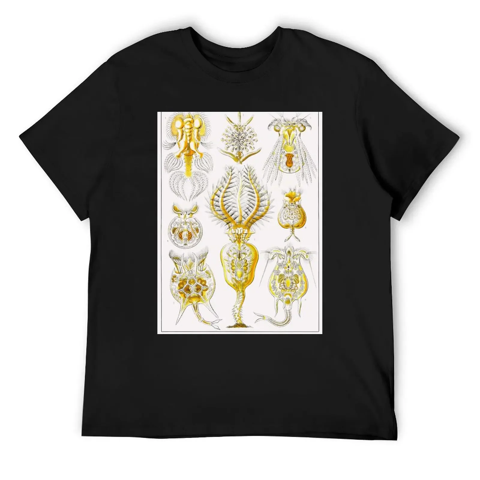 Plate 32. Rotifers or ‘wheel animals'. T-Shirt luxury t-shirt graphic t shirts mens t shirt graphic
Plate 32. Rotifers or ‘wheel animals'. T-Shirt luxury t-shirt graphic t shirts mens t shirt graphic