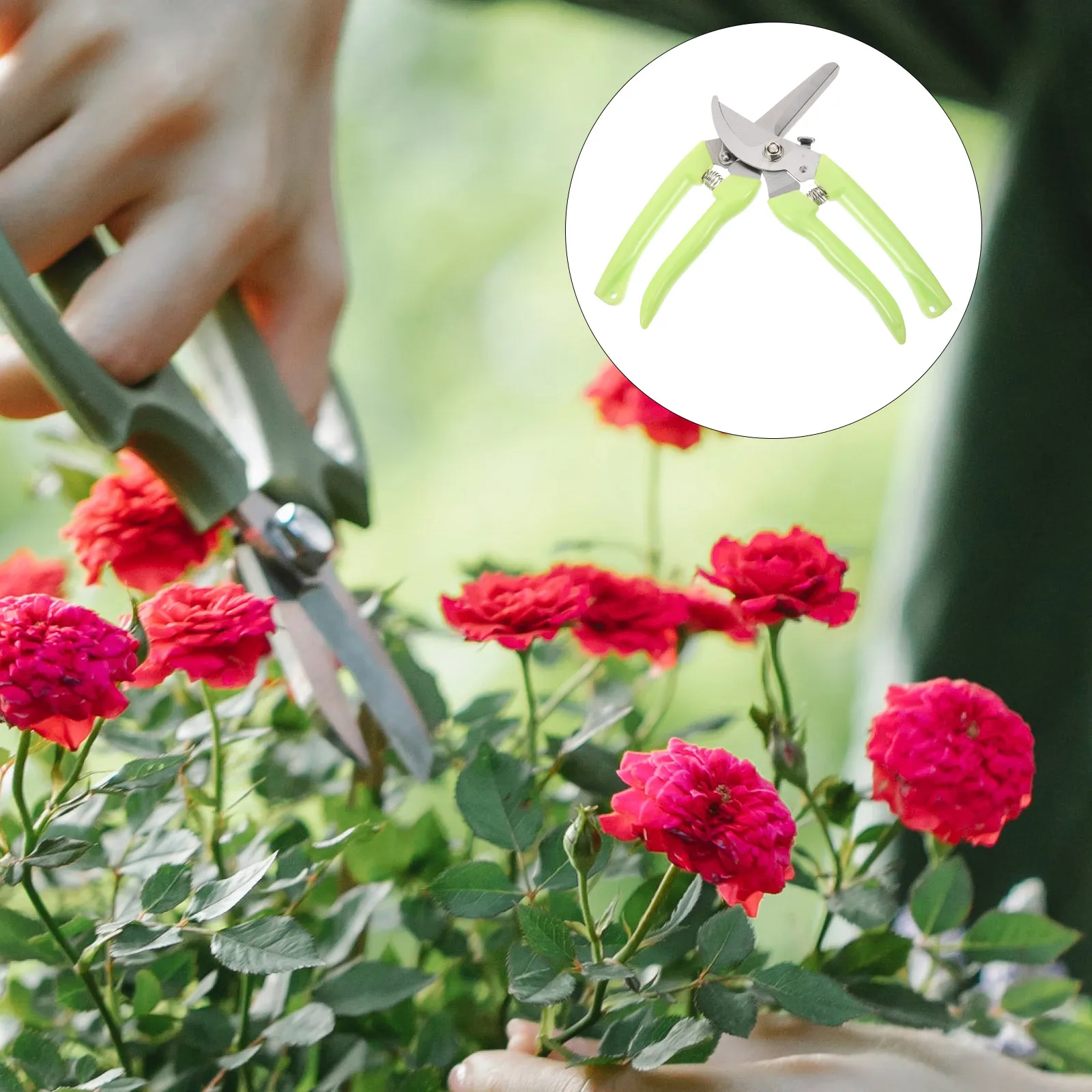2pcs Garden Pruning Shears Heavy Duty Branch Trimmers Flower Plant Scissors Gardening Hand Tools Tree Trimming Outdoor Bonsai
2pcs Garden Pruning Shears Heavy Duty Branch Trimmers Flower Plant Scissors Gardening Hand Tools Tree Trimming Outdoor Bonsai