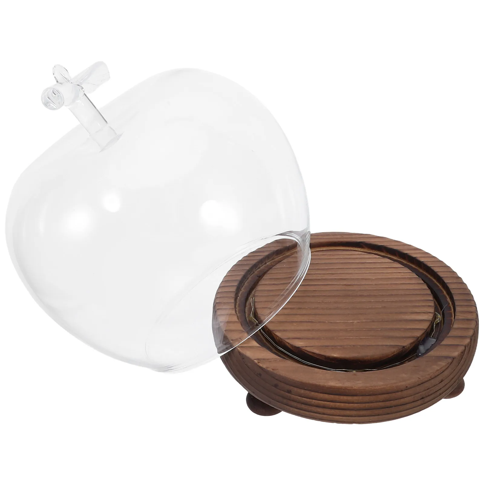 Прозрачный стеклянный купол-колпак для демонстрации, декоративный купол-витрина настольного размера, центральное украшение для свадеб, вечеринок, весеннего декора
Прозрачный стеклянный купол-колпак для демонстрации, декоративный купол-витрина настольного размера, центральное украшение для свадеб, вечеринок, весеннего декора