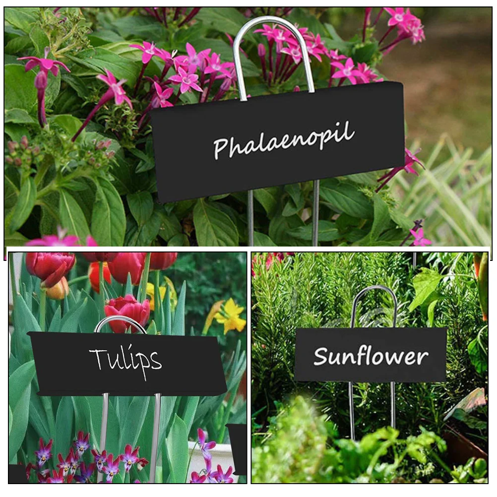 8Pcs Iron Plant Label Stakes Garden Markers for Potted Plants Vegetable Seedlings Nursery Plant Label Iron Labels
8Pcs Iron Plant Label Stakes Garden Markers for Potted Plants Vegetable Seedlings Nursery Plant Label Iron Labels