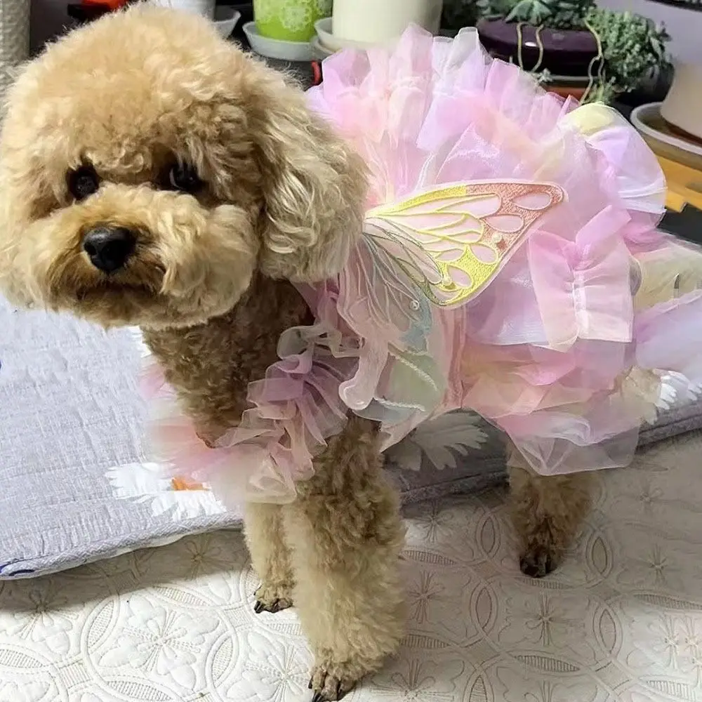 Lovely Colorful Pet Butterfly Princess Dress Comfortable Soft Dog Sweet Clothes Breathable Dog Wedding Skirts for Dogs Cats
Lovely Colorful Pet Butterfly Princess Dress Comfortable Soft Dog Sweet Clothes Breathable Dog Wedding Skirts for Dogs Cats