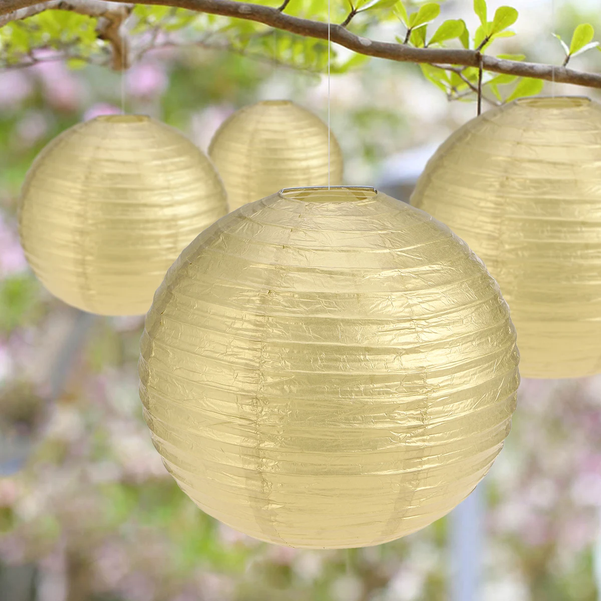 12pcs Paper Lantern Round Foldable Hanging Lantern Wedding Scene Decoration Party Supplies (Golden, 4pcs 8 Inch(20cm) + 4pcs 10
12pcs Paper Lantern Round Foldable Hanging Lantern Wedding Scene Decoration Party Supplies (Golden, 4pcs 8 Inch(20cm) + 4pcs 10