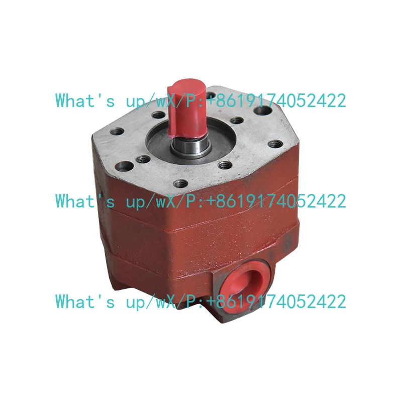 Hanging gear forward gearbox oil pump 300 gearbox B32A pump FD300 BB-B32A
Hanging gear forward gearbox oil pump 300 gearbox B32A pump FD300 BB-B32A