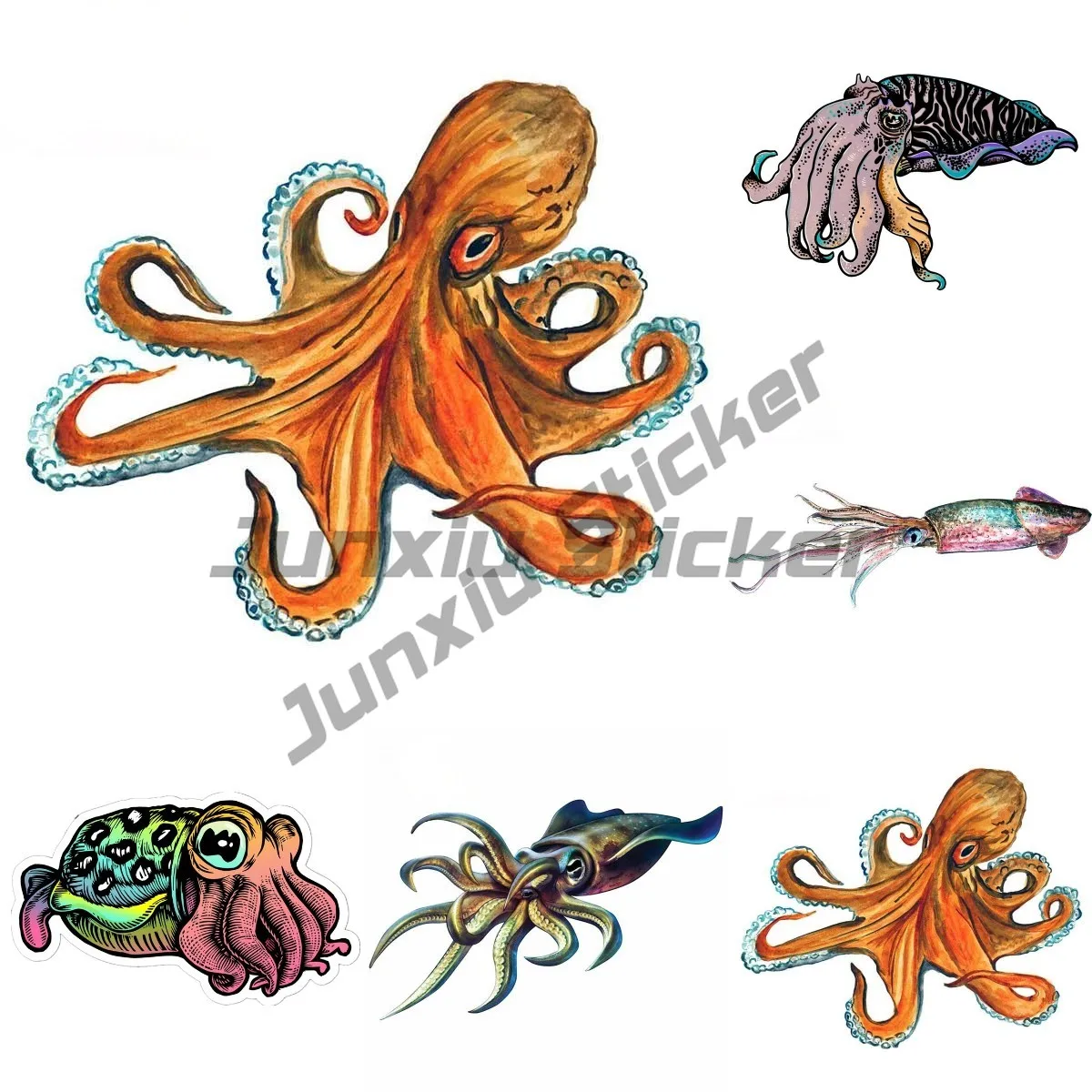 Undersea Animals Squid Cuttlefish Car Sticker Waterproof Auto Decors on Bumper Rear Window Self-Adhesive Decal
Undersea Animals Squid Cuttlefish Car Sticker Waterproof Auto Decors on Bumper Rear Window Self-Adhesive Decal