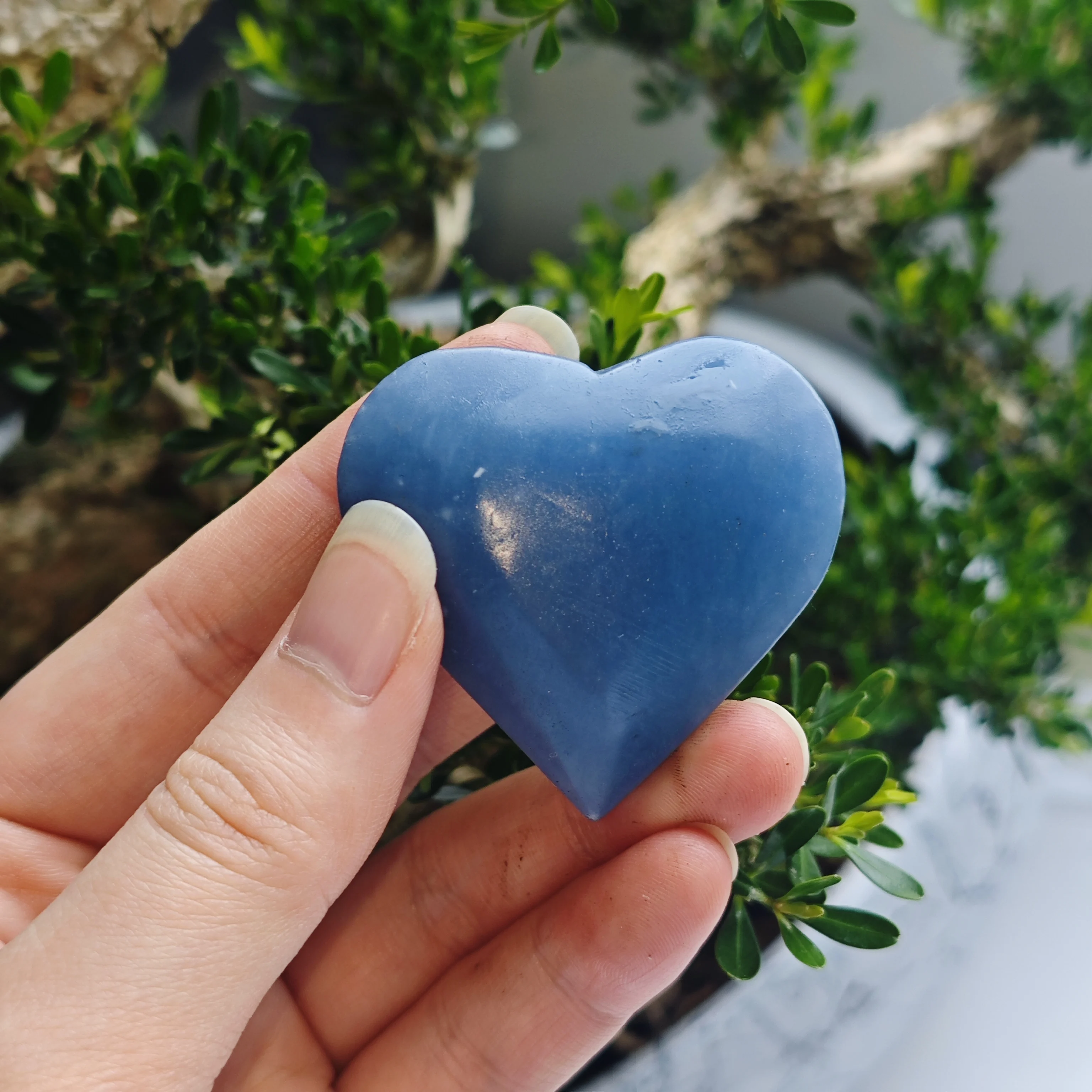 Natural Angelite Heart Stone Carving, Hand Carved Polished Crystal, Healing Mineral Specimen Home Decor Ornament Collection Gift
Natural Angelite Heart Stone Carving, Hand Carved Polished Crystal, Healing Mineral Specimen Home Decor Ornament Collection Gift