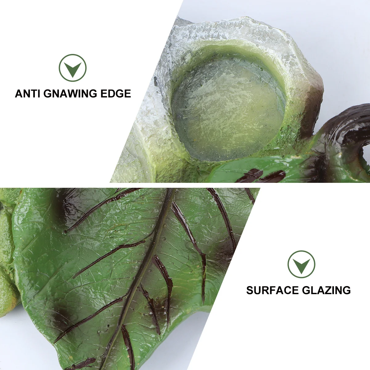 1Pcs Pet Food Bowl for Reptiles Cactus Style Long-Lasting Anti-Gnaw Feeder Dish for Tortoise Snake Water Turtle Crawler
1Pcs Pet Food Bowl for Reptiles Cactus Style Long-Lasting Anti-Gnaw Feeder Dish for Tortoise Snake Water Turtle Crawler