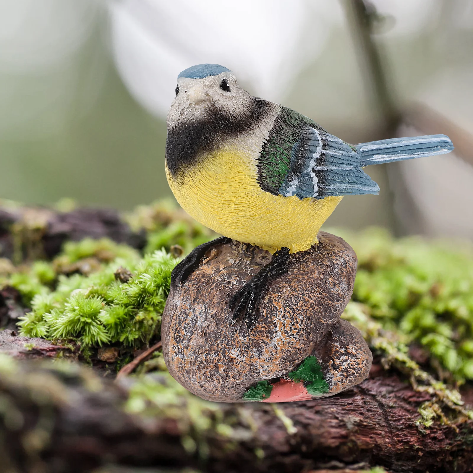 2Pcs Mini Parrot Decorations Resin Bird Statue for Micro Landscape Desktop Shelf Garden Yard Decor Vivid Lifelike Bird Figures
2Pcs Mini Parrot Decorations Resin Bird Statue for Micro Landscape Desktop Shelf Garden Yard Decor Vivid Lifelike Bird Figures