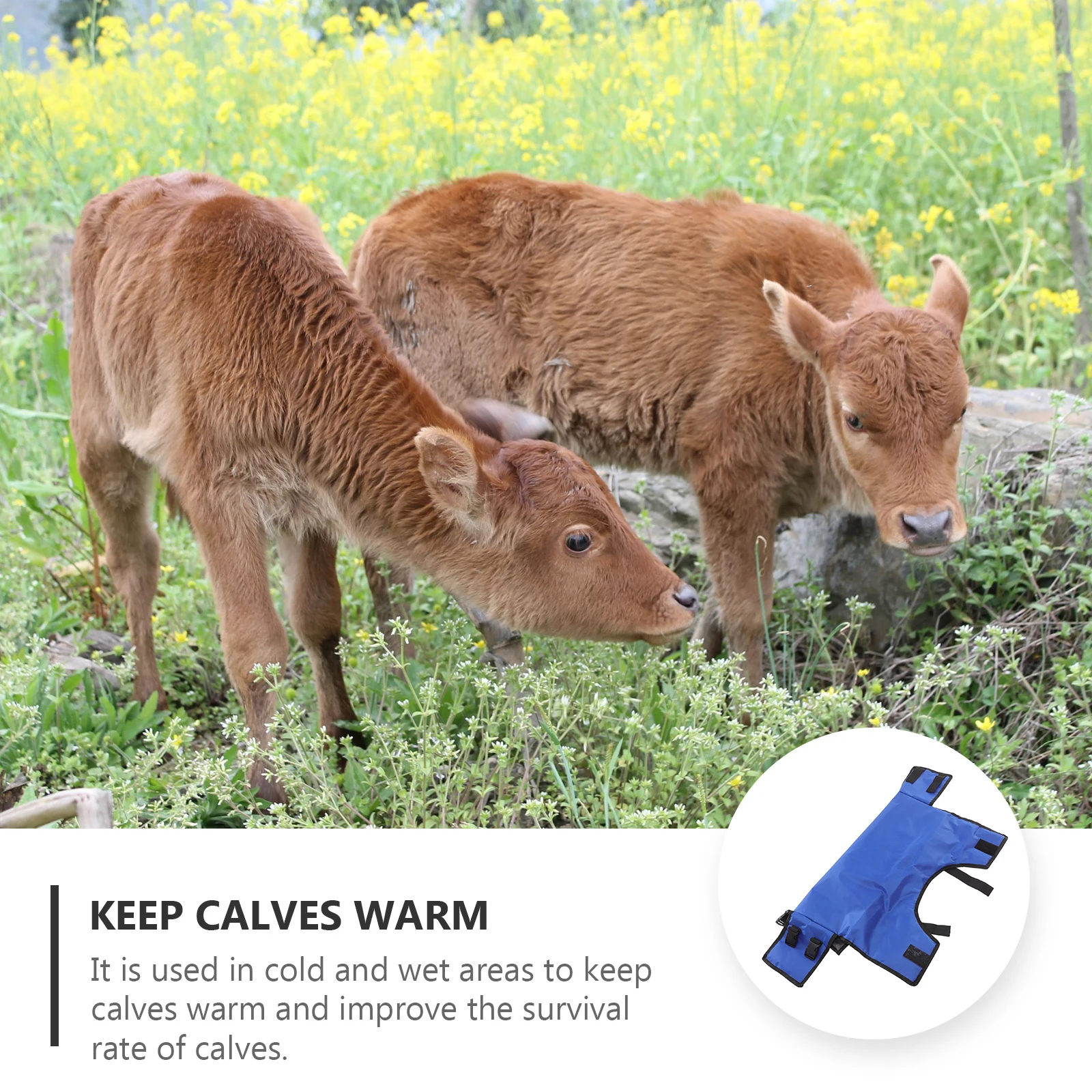 Warm Clothing Winter Clothes Durable Calf Clothes Waterproof Cold Proof Calf Winter Clothing Windproof Breathable Hats
Warm Clothing Winter Clothes Durable Calf Clothes Waterproof Cold Proof Calf Winter Clothing Windproof Breathable Hats