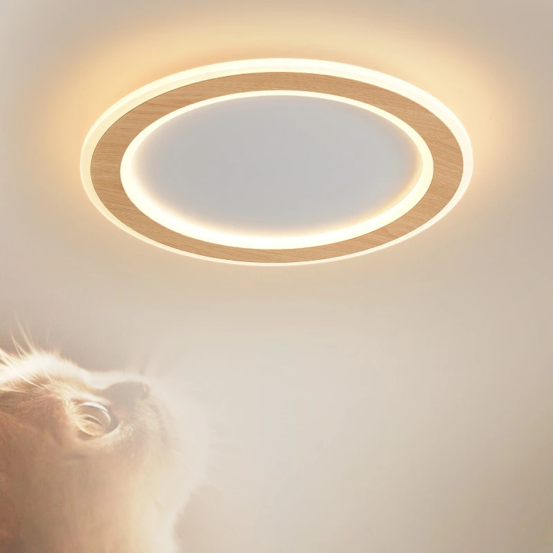 2022 New Bedroom Lamp Ceiling Lamp Nordic Modern Fashion Round Room Lamp Japanese-style Solid Wood Decorative Lamps
2022 New Bedroom Lamp Ceiling Lamp Nordic Modern Fashion Round Room Lamp Japanese-style Solid Wood Decorative Lamps