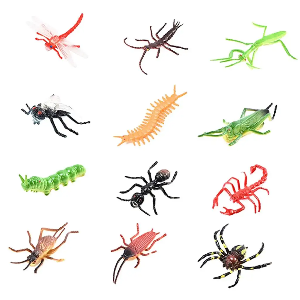 Simulation Animal Model Decoration Realistic Bug Kids Educational Toy for Preschool Learning Activities
Simulation Animal Model Decoration Realistic Bug Kids Educational Toy for Preschool Learning Activities